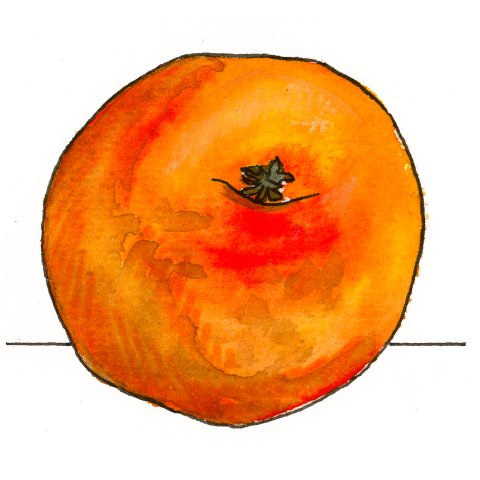 apelsin.jpeg